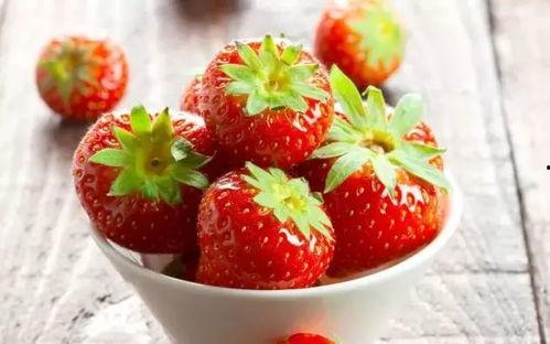 吃瓜草莓陪玩视频,欢乐互动视频大放送！