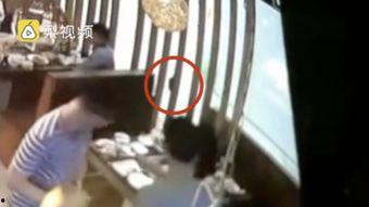 看到暴力怎么办吃瓜视频,从“吃瓜”视频看社会现象