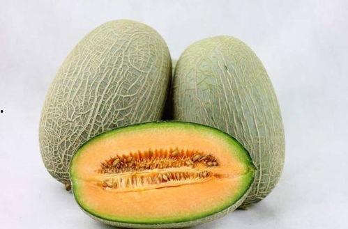 大猪猪吃哈密瓜小视频下载,萌态十足小视频引网友热议