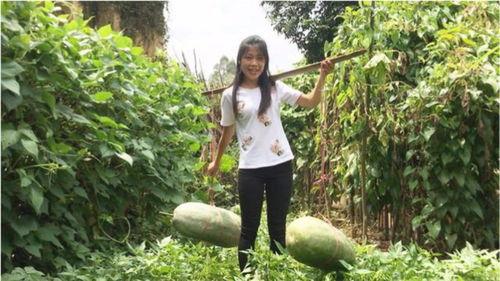 吃瓜视频都在那里看到了,吃瓜视频热门聚集地大揭秘！