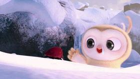 吃恐怖瓜搞笑视频,恐怖瓜视频笑料横生