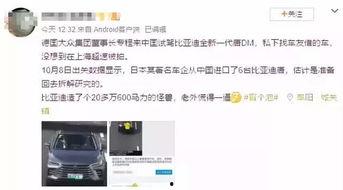 吃瓜群众十号事件视频,吃瓜群众视角下的惊心动魄一幕