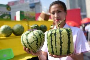 百变俱乐部吃瓜视频,揭秘吃瓜视频背后的娱乐风云