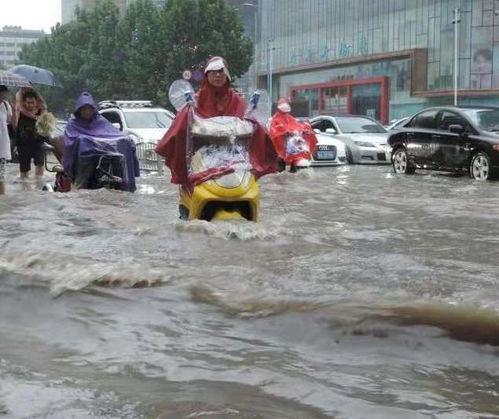 河南最新吃瓜事件视频,视频揭秘惊人真相