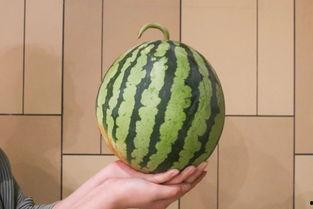 西昌18度吃瓜事件视频,一场引发热议的街头冲突