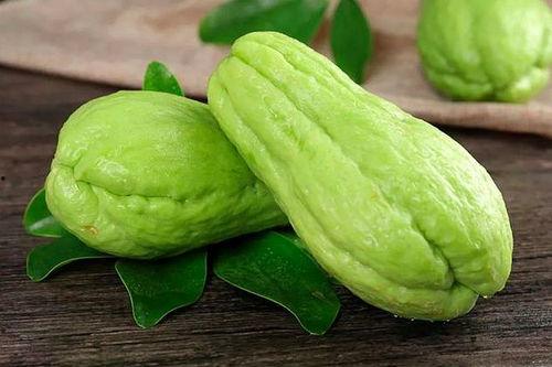 韩国吃生葫芦瓜视频,挑战生葫芦瓜美味大比拼